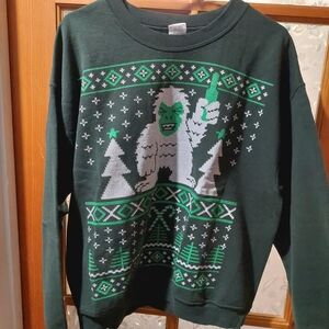 Festive Green Graphic Sweater coed